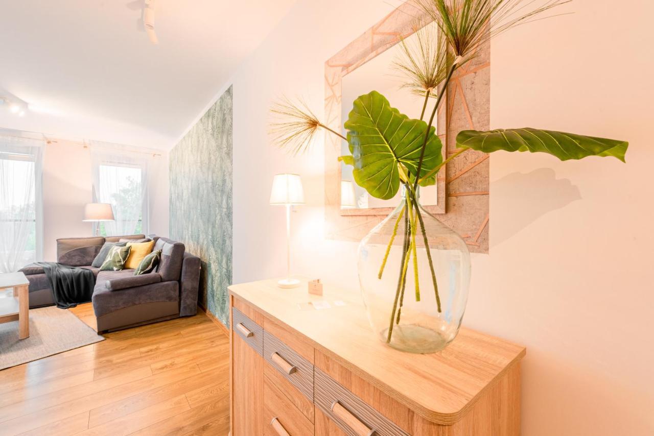 קולובז'ג Michano Apartamenty Premium מראה חיצוני תמונה